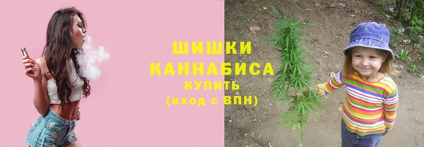 spice Медвежьегорск
