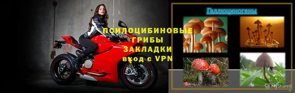 spice Медвежьегорск