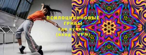 spice Медвежьегорск