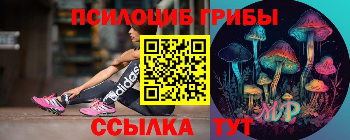 Псилоцибиновые грибы GOLDEN TEACHER  Галлюциногенные грибы Psilocybine cubensis  Урюпинск  Вход с VPN 